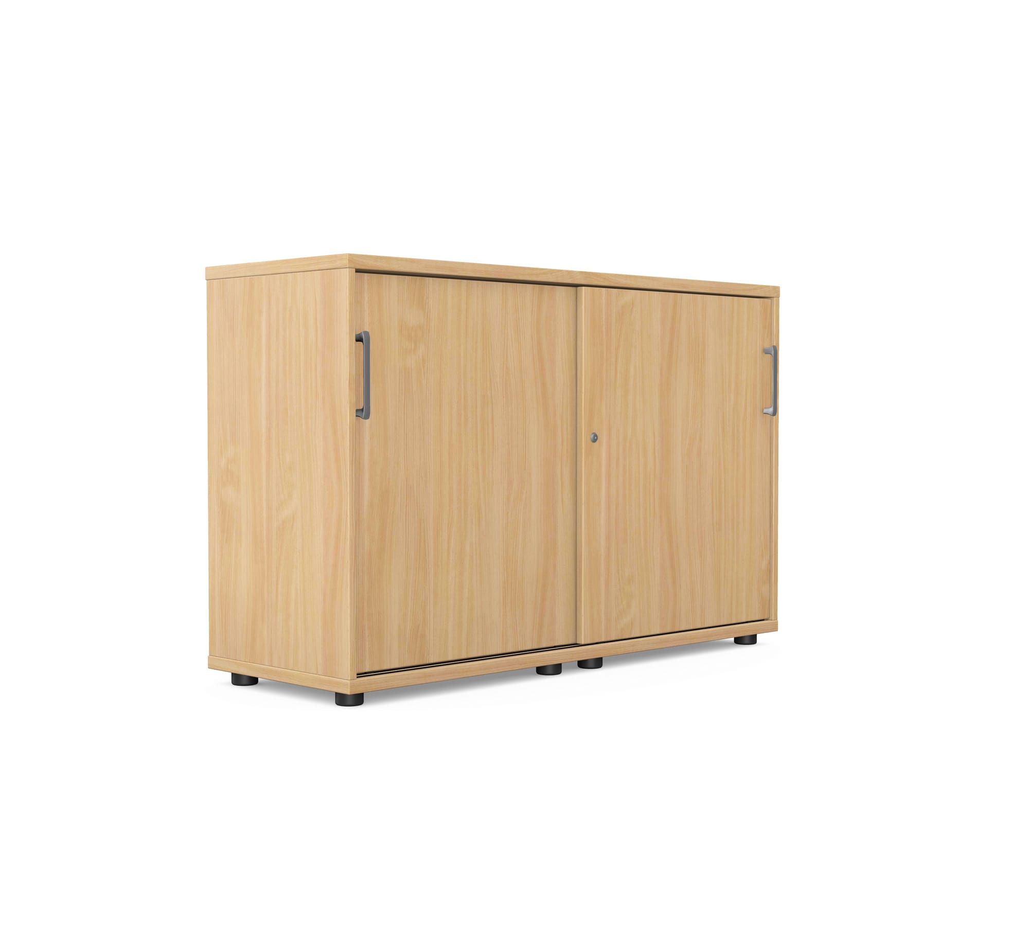 Profi Cabinet RS-6