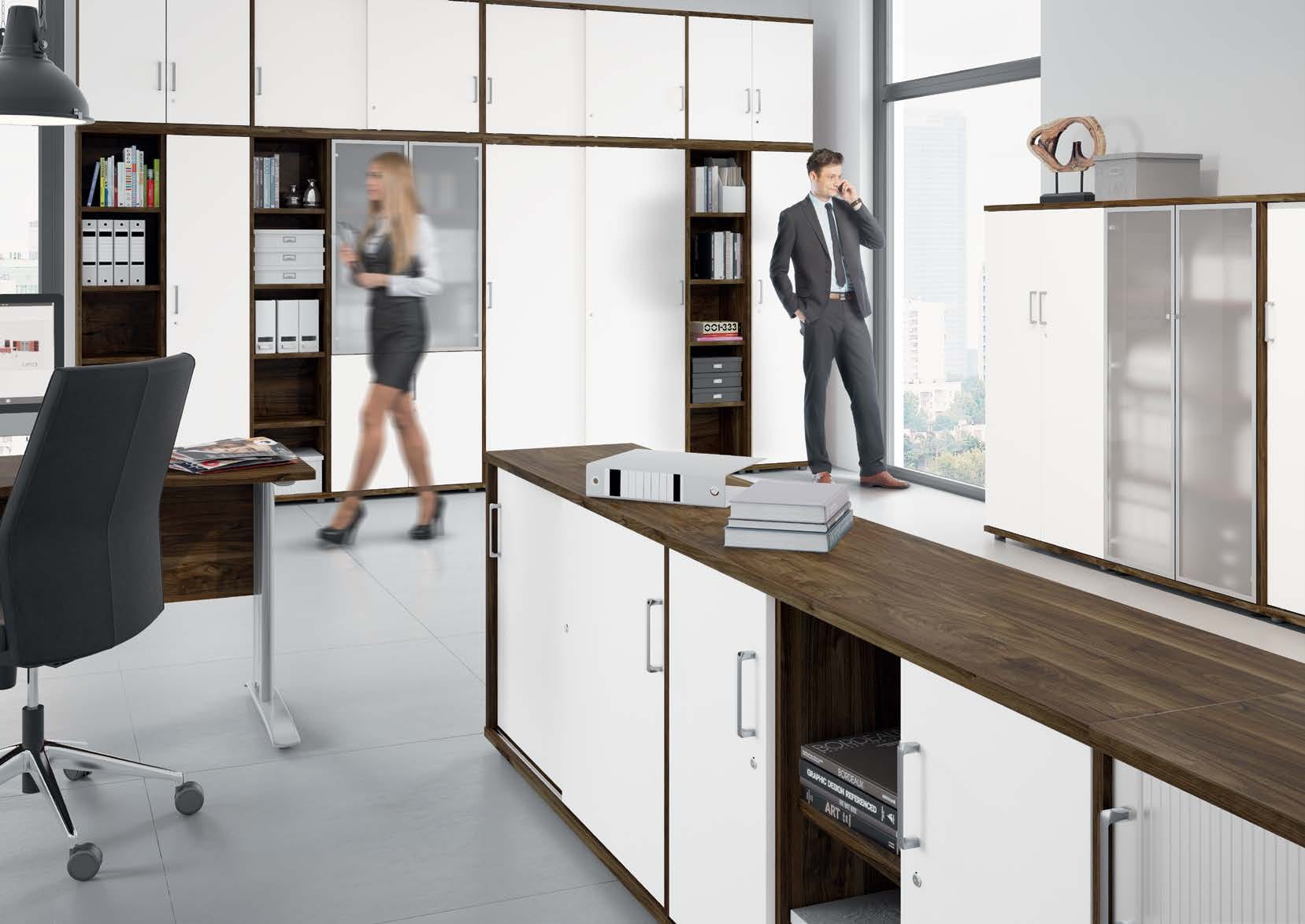 Profi Cabinet RL-1