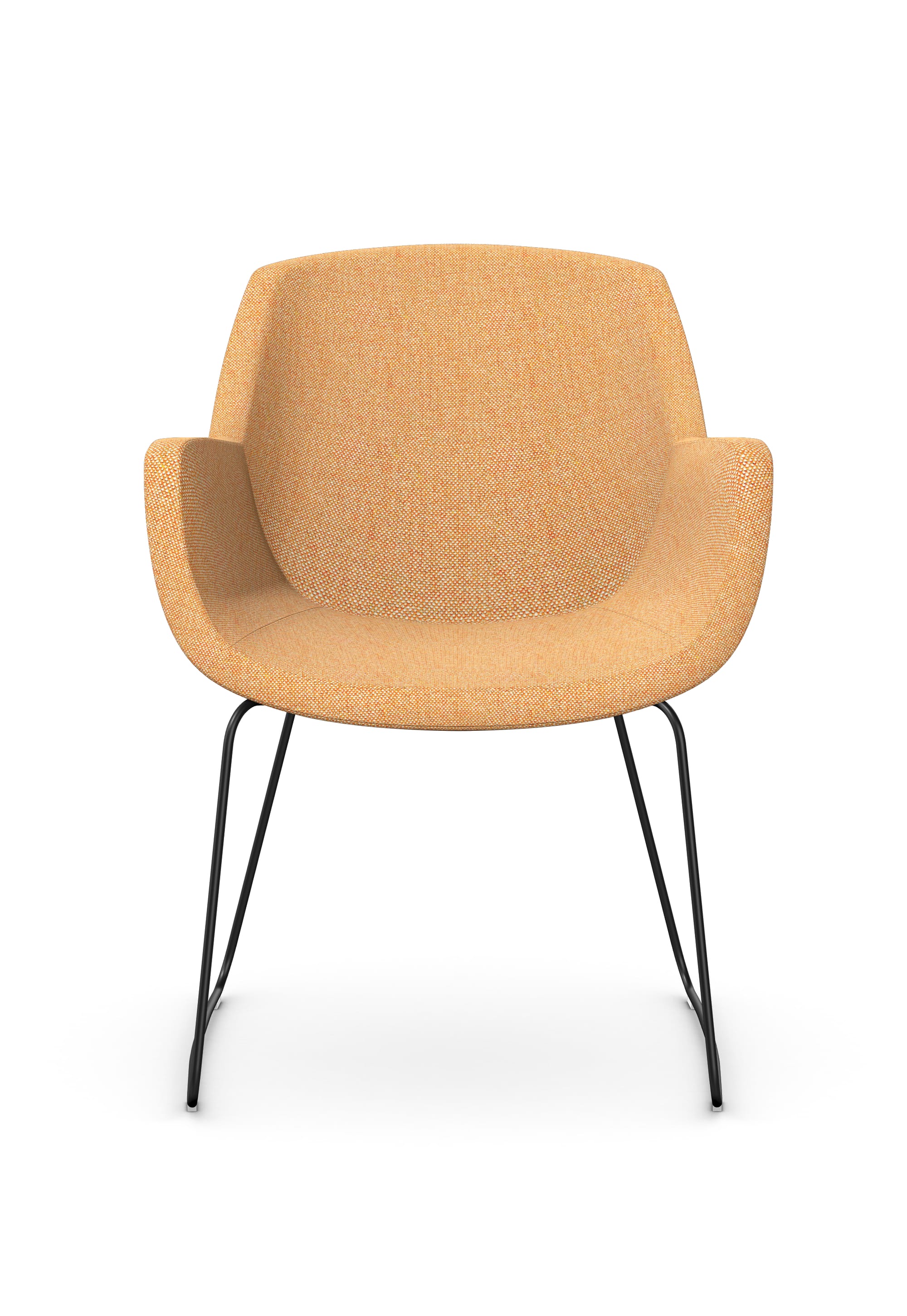 TIANA - Chair, Skid Metal Base